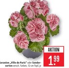 Aktuelles Geranien Ville de Paris Angebot bei Marktkauf in Reutlingen ab 1,99 €