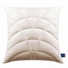 KOPFKISSEN 80/80 cm Climatraum Polyester im Angebot bei XXXLutz in Hürth KOPFKISSEN 80/80 cm Climatraum Polyester Angebote von Billerbeck bei XXXLutz Hürth für 96,75 €