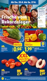 Tomaten im Lidl Prospekt in Ansbach Aktueller Lidl Prospekt mit Tomaten, "LIDL LOHNT SICH", Seite 60
