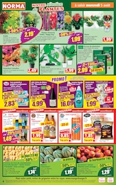 Lessive en promo dans le catalogue Norma à la page 4