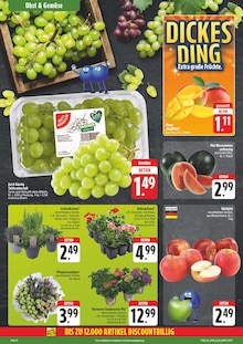 Pflanzen im EDEKA Prospekt "Wir lieben Lebensmittel!" mit 30 Seiten (Chemnitz)