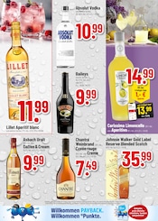 Vodka im Trinkgut Prospekt in Rüsselsheim Aktueller Trinkgut Prospekt mit Vodka, "Aktuelle Angebote", Seite 6