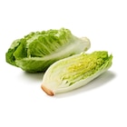 Mini Romana Salat bei Lidl im Prospekt "" für 0,99 €