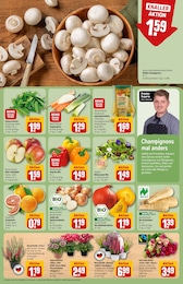 Pastinake Angebot im aktuellen REWE Prospekt auf Seite 11