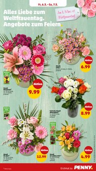 Blumen im Penny Prospekt "Wer günstig will, muss Penny." mit 42 Seiten (Magdeburg)