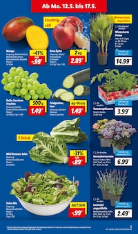 Palme Angebot im aktuellen Lidl Prospekt auf Seite 3