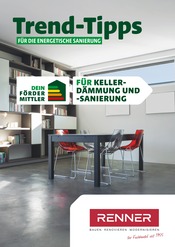 Aktueller Renner Baumarkt Prospekt in Striegistal und Umgebung, "Trend-Tipps FÜR DIE ENERGETISCHE SANIERUNG" mit 12 Seiten, 13.05.2024 - 23.05.2024