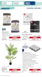 METRO Grünpflanzen im Prospekt METRO Grünpflanzen im Prospekt