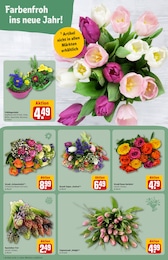 Garten im REWE Prospekt Garten im REWE Prospekt Dein Markt auf S. 8