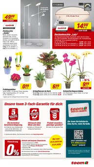 Orchidee im toom Baumarkt Prospekt "Respekt, wer's selber macht." mit 12 Seiten (Mannheim)