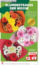Deko Blumen im Kaufland Prospekt Deko Blumen im Kaufland Prospekt "Hier bin ich richtig" auf Seite 75
