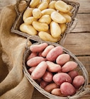 Intermarché Super Céret - Promo Pommes de terre de consommation à chair ferme nouvelle récolte Promo Pommes de terre de consommation à chair ferme nouvelle récolte à 2,19 € dans le catalogue Intermarché Super à Céret