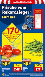 Aktueller Lidl Prospekt mit Mango, "LIDL LOHNT SICH", Seite 2