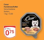 Hundenassfutter bei GLOBUS im Prospekt "" für 0,75 €