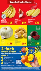 Kürbis im Lidl Prospekt in Stade Aktueller Lidl Prospekt mit Kürbis, "LIDL LOHNT SICH", Seite 3