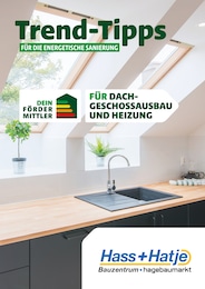 Aktueller Hass + Hatje GmbH Prospekt, "Trend-Tipps FÜR DIE ENERGETISCHE SANIERUNG", mit Angeboten der Woche, gültig von 18.10.2024 bis 18.10.2024