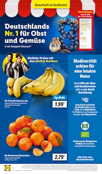 Bananen im Lidl Prospekt "LIDL LOHNT SICH" mit 61 Seiten (Hagen (Stadt der FernUniversität))