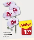 Künstliche Orchidee im Angebot bei famila Nordwest in Oldenburg Künstliche Orchidee Angebote bei famila Nordwest Oldenburg für 1,99 €