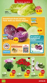 Aktueller Penny Prospekt mit Weihnachtsdekoration, "Wer günstig will, muss Penny.", Seite 6