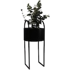 PFLANZTOPF 30/70 cm Schwarz im XXXLutz Prospekt PFLANZTOPF 30/70 cm Schwarz von Ambia Home im aktuellen XXXLutz Prospekt für 39,99 €