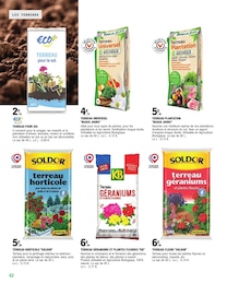 Offre Plante Verte dans le catalogue E.Leclerc du moment à la page 42