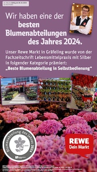 REWE Prospekt "Dein Markt" mit  Seiten (München)