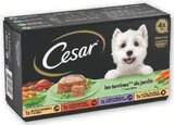 Repas humide pour chien - CESAR à 1,17 € dans le catalogue U Express
