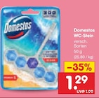 WC-Stein im Angebot bei Netto Marken-Discount in Wolfenbüttel WC-Stein Angebote von Domestos bei Netto Marken-Discount Wolfenbüttel für 1,29 €