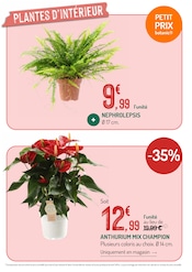 D'autres offres dans le catalogue "LES OFFRES DU MOMENT À NE PAS MANQUER" de Botanic D'autres offres dans le catalogue "LES OFFRES DU MOMENT À NE PAS MANQUER" de Botanic à la page 12