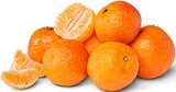 Mandarinen im Penny Prospekt Mandarinen von Marketliebe im aktuellen Penny Prospekt für 1,69 €
