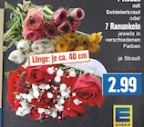 7 Rosen mit Schleierkraut oder 7 Ranunkeln jeweils in verschiedenen Farben bei EDEKA im Lohra Prospekt für 2,99 €