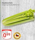 Staudensellerie im Angebot bei GLOBUS in Jena Staudensellerie Angebote bei GLOBUS Jena für 0,99 €