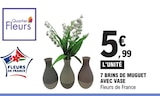 7 brins de muguet avec vase - Quartier Fleurs - E.Leclerc à Rennes 7 brins de muguet avec vase - Quartier Fleurs en promo chez E.Leclerc Rennes à 5,99 €
