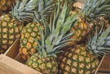 Ananas dans le catalogue Netto