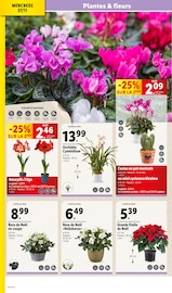 Jardinage Angebote im Prospekt "BLACK FRIDAY DEALS" von Lidl auf Seite 32