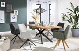 Schalenstuhl TIAMA im Segmüller Prospekt Schalenstuhl TIAMA von Musterring im aktuellen Segmüller Prospekt für 249,00 €