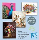 Bilder Angebote bei Trends Monheim für 19,90 €