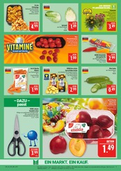Kartoffeln im Marktkauf Prospekt in Coburg Aktueller Marktkauf Prospekt mit Kartoffeln, "AUSWAHL RIESIG, PREISE NIEDRIG", Seite 9
