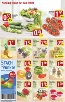 Aktueller WEZ Prospekt "Die WEZette" Aktueller WEZ Prospekt