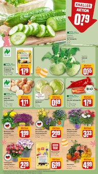 Blumenerde im REWE Prospekt "Dein Markt" mit 31 Seiten (Bottrop)