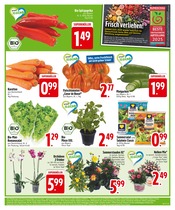 Ähnliche Stiefmütterchen Angebote im Prospekt "Deine PAYBACK Vorteile" von EDEKA in Landshut Ähnliche Angebote wie Stiefmütterchen im Prospekt "Deine PAYBACK Vorteile" auf Seite 3 von EDEKA in Landshut