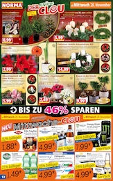 Blumen Angebot im aktuellen Norma Prospekt auf Seite 12