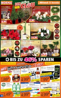 Blumen im Norma Prospekt "Mehr fürs Geld" mit 16 Seiten (Hamm)