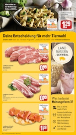 Aktueller REWE Prospekt mit Bratpfanne, "Dein Markt", Seite 13