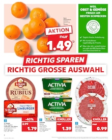 Aktueller Kaufland Prospekt für Freiburg (Breisgau) mit  Seiten