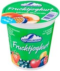 Aktuelles Fruchtjoghurt Angebot bei REWE in Offenbach (Main) ab 0,33 €