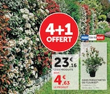 Promo Haies persistantes ou fleuries à 23,16 € dans le catalogue Hyper U à Alès