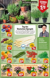 Ähnliche Angebote wie Stiefmütterchen im Prospekt "Dein Markt" auf Seite 7 von REWE in Nürnberg
