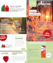 Aktueller LINDA Premiumapotheke Apotheken Prospekt in Wildau und Umgebung, "Aktuelle Angebote" mit 3 Seiten, 01.11.2025 - 30.11.2025