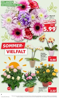 Blumen im aktuellen Kaufland Prospekt (Siegen (Universitätsstadt)) Blumen im Kaufland Prospekt "Aktuelle Angebote" mit 60 Seiten (Siegen (Universitätsstadt))